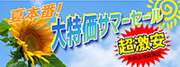 ちょっと早めのサマーセール2025