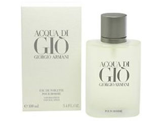 ジョルジオアルマーニ アクアディジオプールオム オードトワレ EDT SP 100ml メンズ 人気香水 通販